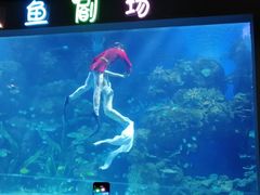 -邯郸海洋世界