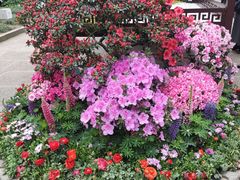 -惠山古镇·寄畅园