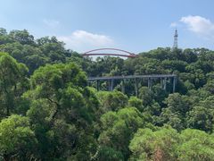 -金鸡山公园