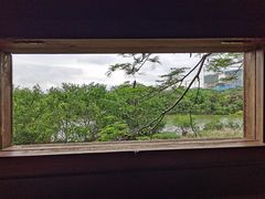 -华侨城湿地公园