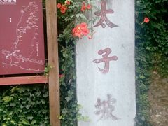 android_upload_pic-武当山风景区