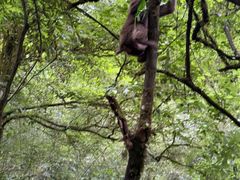 -西岭雪山大飞水景区