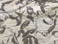 景点-房山世界地质公园博物馆