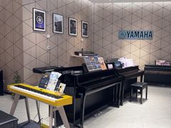 -知音艺术教育培训·钢琴培训·音乐培训(河西金鹰世界校区)