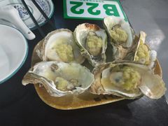 -顺德哥卜卜贝(旗舰店)