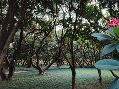 -荔香公园