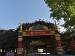 -瑞丽独树成林风景区