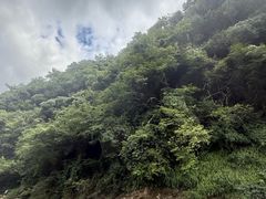 -千岛湖九龙溪漂流