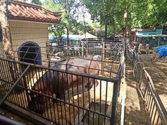 -昆明动物园