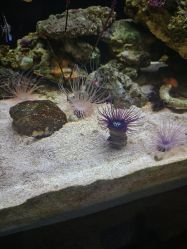 -Zoolung Zoolung动物主题公园(海信广场店)