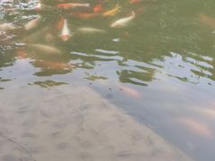 -云溪植物园