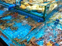 -四姑娘川味海鲜(八爪鱼店)