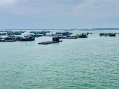 -硇洲岛旅游区
