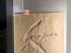 -延庆地质公园博物馆