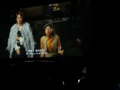-枫花园汽车电影院(朝阳公园店)
