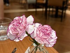 -芭莉与彩虹西餐厅(成都合生汇店)