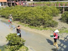 -北海金海湾红树林生态旅游区