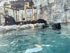 -上海野生动物园