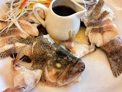 -博雅渔港·融合菜(维也纳国际大酒店)