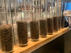 -喜茶(深圳海岸城店)