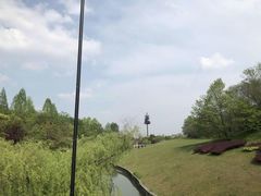 -合肥三国新城遗址公园