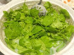 枸杞叶-丰尔粥食·粥底火锅·桑拿鸡(大良总店)