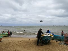 -尼甘布海鲜市场