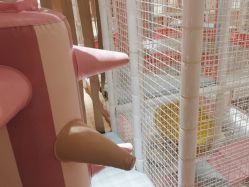 -超级奈尔宝SUPER NEOBIO(杭州星光店)