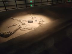 -洛阳周王城天子驾六博物馆