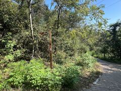 -青龙山国家森林公园