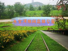 -永定河休闲森林公园