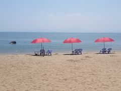 -八婆婆烧仙草(曾厝垵店)