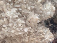 -安徽省地质博物馆