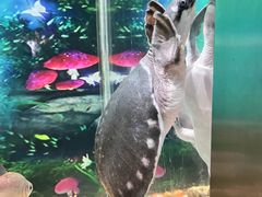 -秦皇岛新澳海底世界