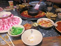 -蜀大侠火锅(建设路第五大道店)