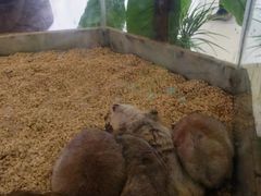 -高新活力汇Vitality