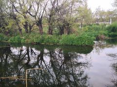 -七彩云南茶(七彩云南第壹城店)