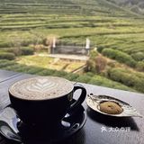 茶园边的咖啡馆