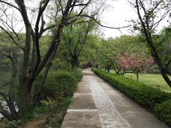-紫霞湖公园
