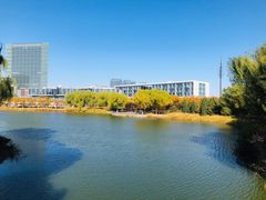 -大兴滨河森林公园