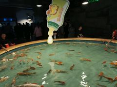 -洛阳龙门海洋馆