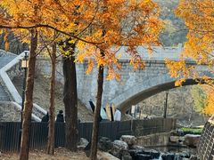 -白水寺森林公园