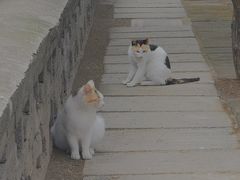 -四门塔风景区