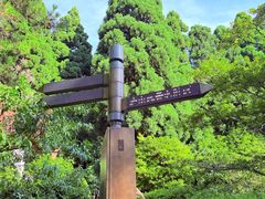 -庐山风景区花径公园