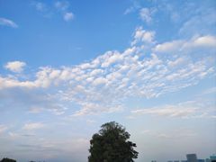 -北龙湖湿地公园