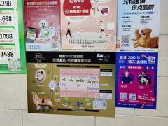 -瑞派天宁宠物医院·猫科·异宠中心