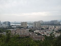 -福道