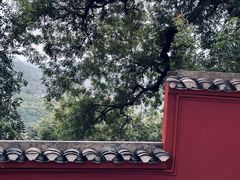 -白帝城·瞿塘峡景区