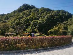 -三块石国家森林公园