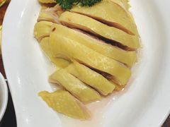 上海白斩鸡-金枝玉叶上海人家食府(三里河店)